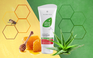 Alles, was du über Inhaltsstoffe, Produktarten und Qualitätsmerkmale von Propolis-Creme (inkl. LR Propolis Creme) wissen solltest