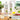 LR Aloe Vera Drinking Gel Acai Pro Summer 3er Set mit 3 Flaschen, Aloe Vera Getränk mit Açai, Waldfrüchten und Honig, erfrischend und antioxidativ, ideal für Elektrolythaushalt und Immunsystem